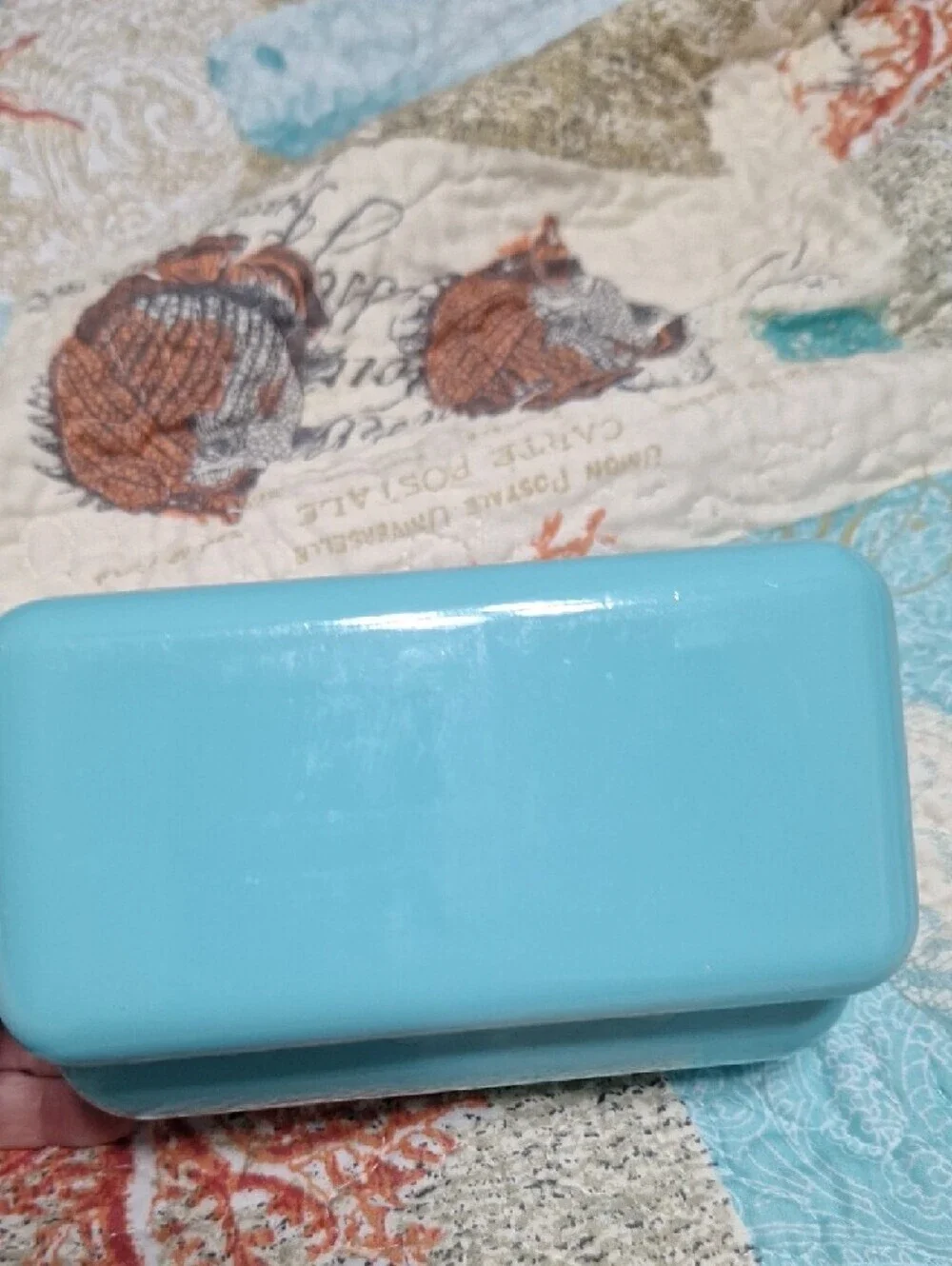 Tiffany & Co. Eye Glass Case And Glass Cleaning Cloth